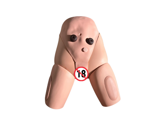 Advance Patient Care Female Catheterization with Stoma Simulator