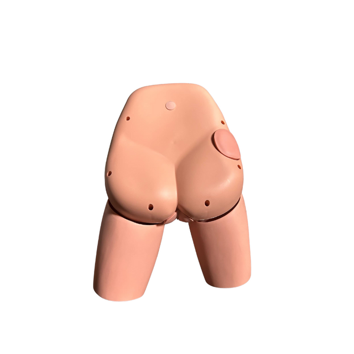 Advance Patient Care Female Catheterization with Stoma Simulator